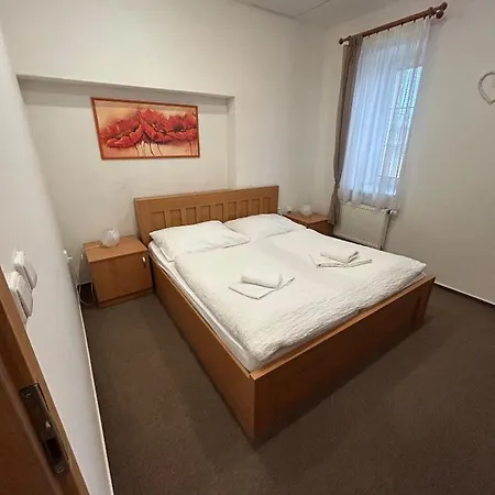 Hotel Allvet Drnovice (Vyskov)
