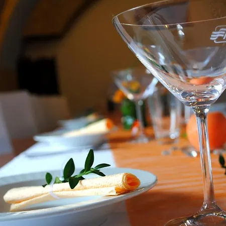 Allvet Hotel Drnovice (Vyskov)