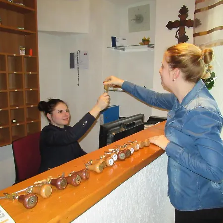 Hotel Allvet 3*